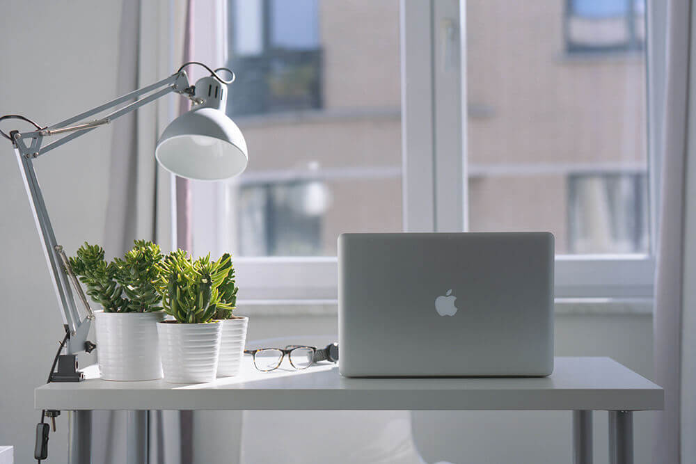 And kangaroo input faint more slovene